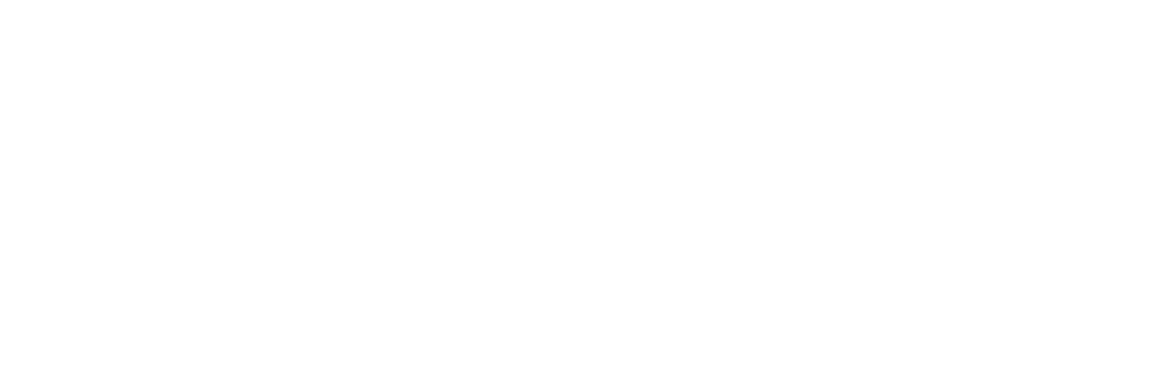 Orion